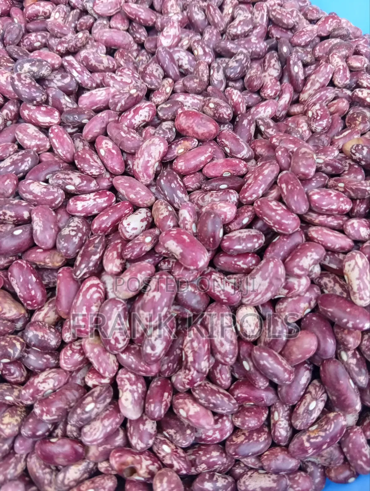 Beans for Sale Rocecoco