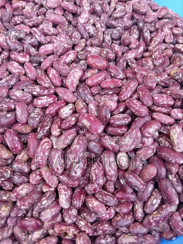 Beans for Sale Rocecoco - main view
