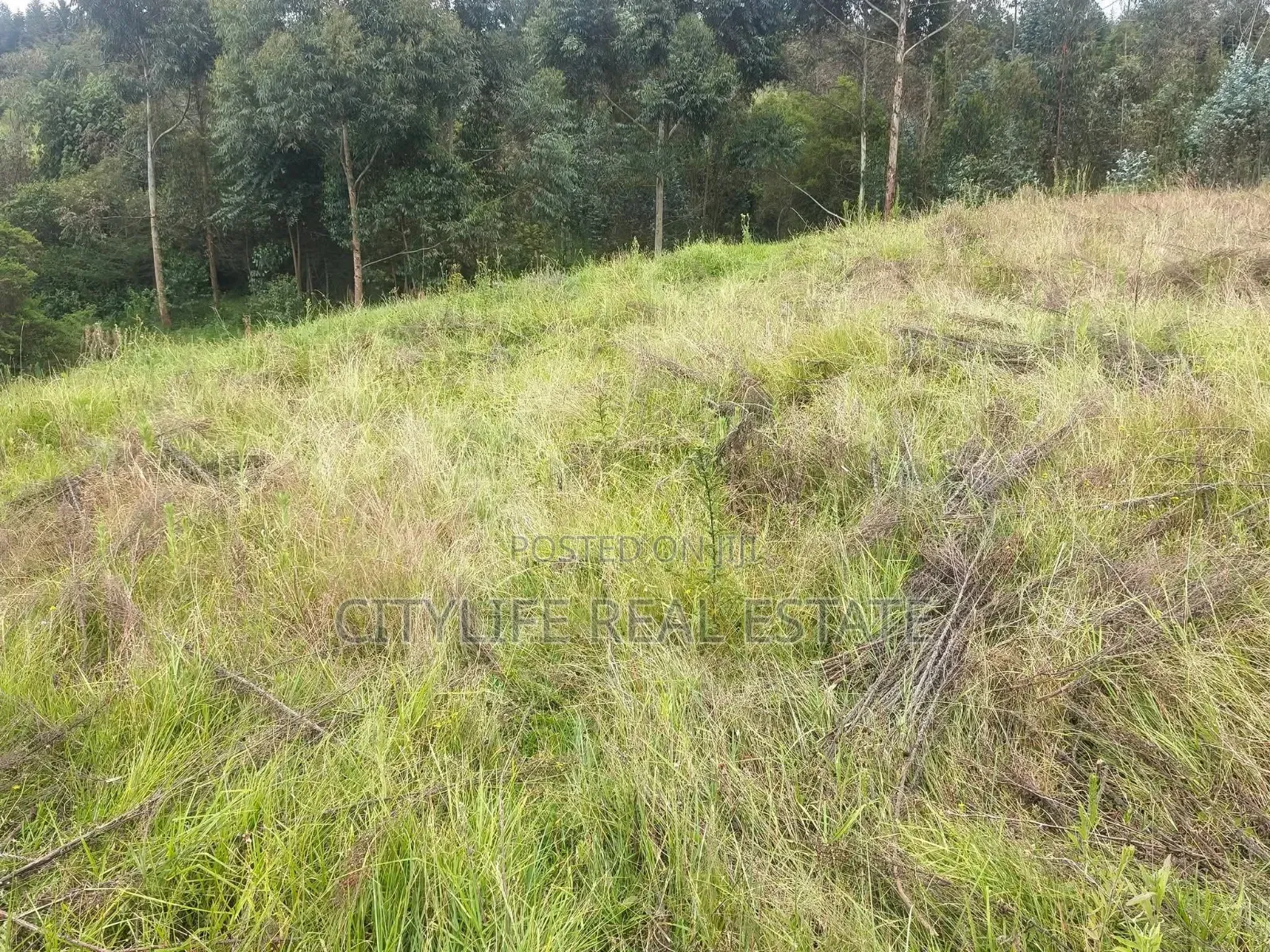 South Kinangop, Engineer , Chobe Is This 1 Acre Land