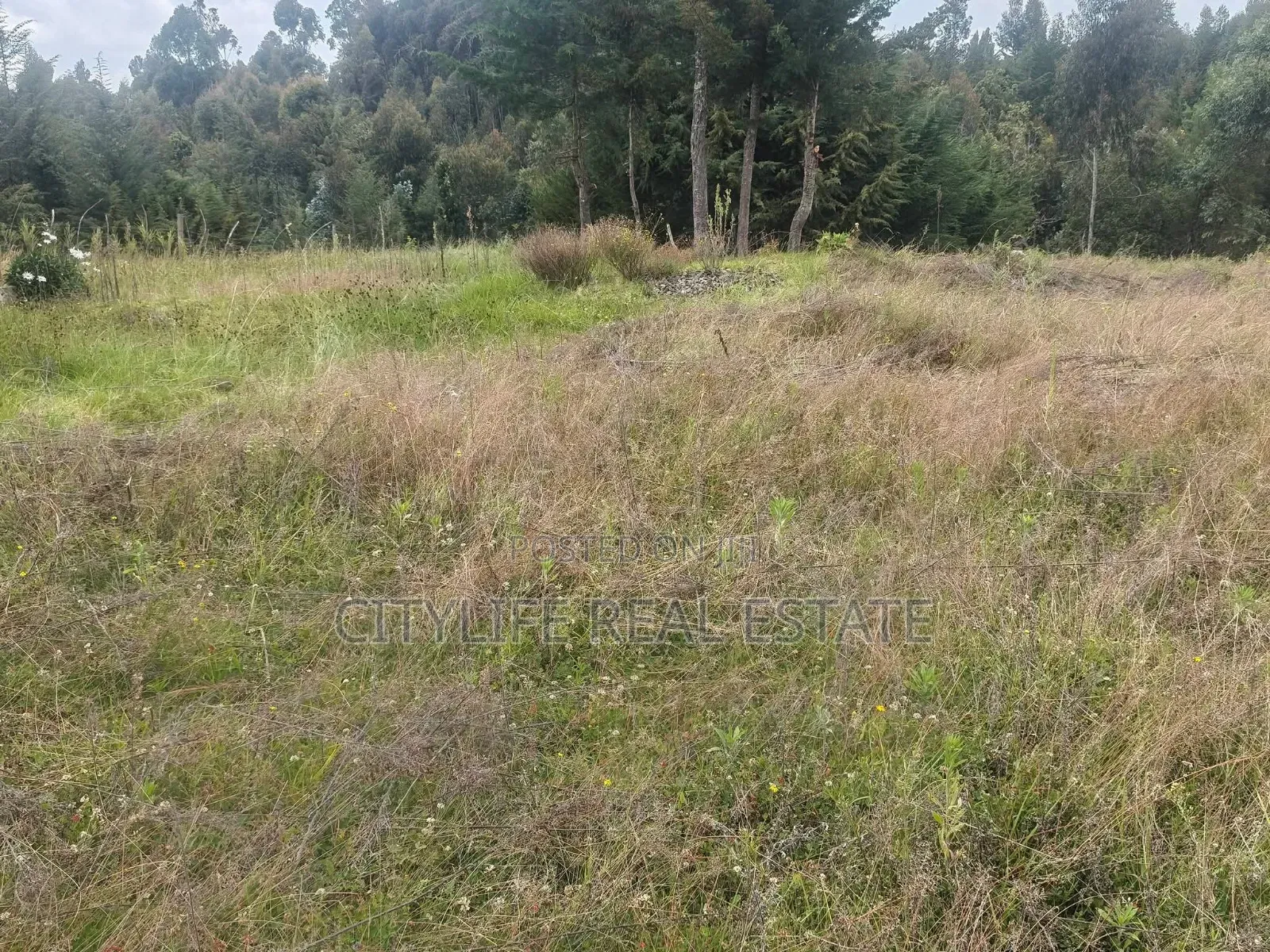 South Kinangop, Engineer , Chobe Is This 1 Acre Land
