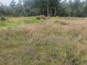 South Kinangop, Engineer , Chobe Is This 1 Acre Land