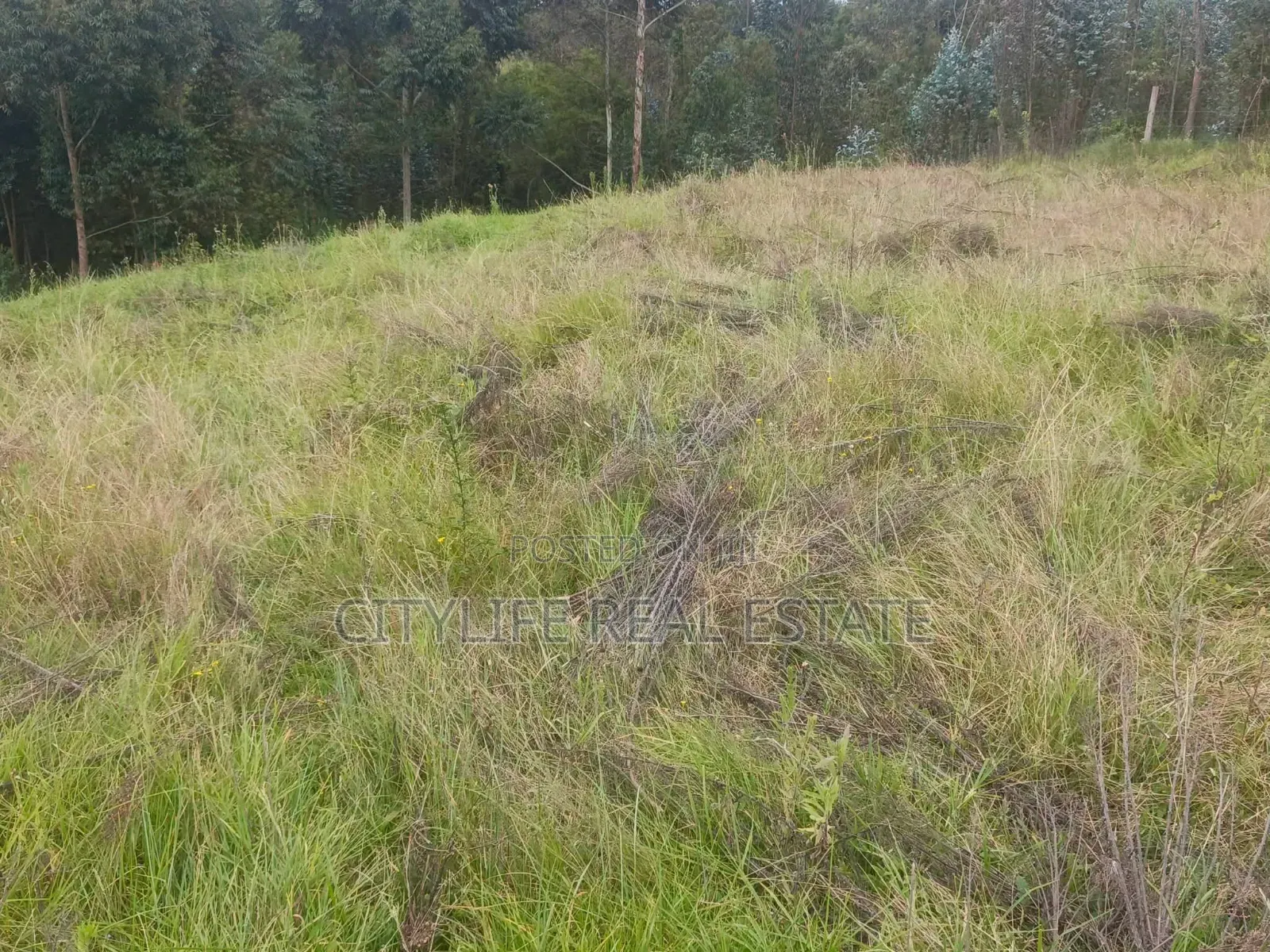 South Kinangop, Engineer , Chobe Is This 1 Acre Land