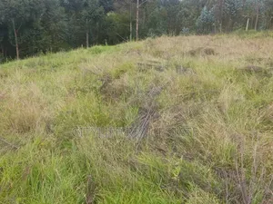 South Kinangop, Engineer , Chobe Is This 1 Acre Land