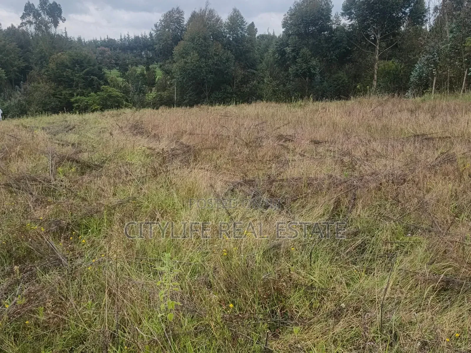 South Kinangop, Engineer , Chobe Is This 1 Acre Land