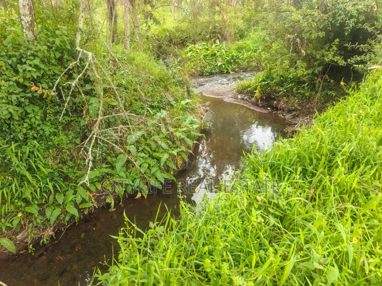 South Kinangop, Engineer , Chobe Is This 1 Acre Land
