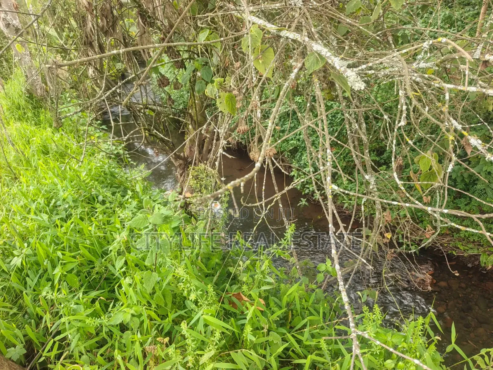 South Kinangop, Engineer , Chobe Is This 1 Acre Land