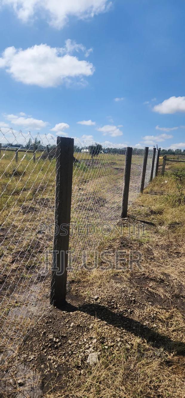 Land for Sale - thumbnail 5