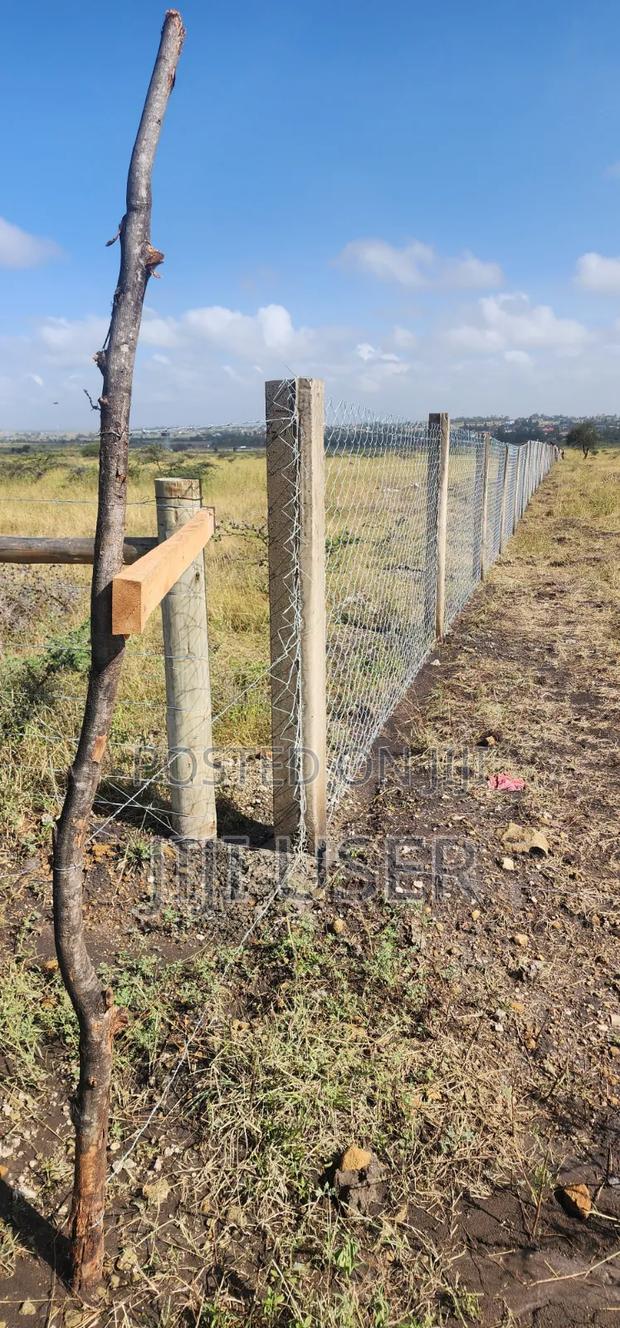 Land for Sale - thumbnail 6