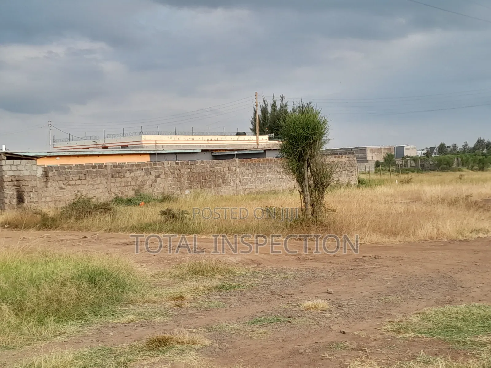 Commercial Plot