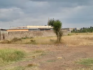 Commercial Plot