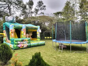 Bouncing Castles and Spacious Trampolines for Hire