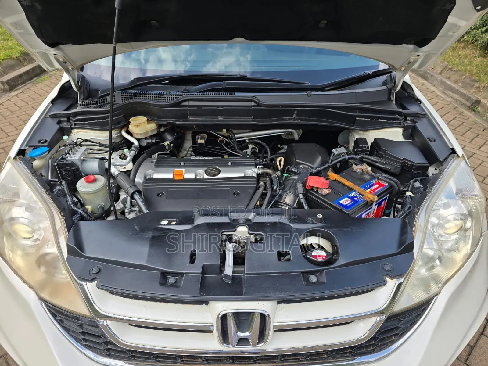 Honda CR-V 2010 White