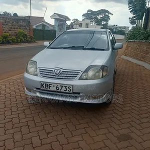 Toyota Allex 2004 Silver