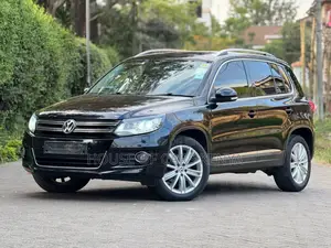 Volkswagen Tiguan 2013 Black