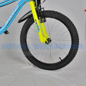 Swing 20 Inch Sports Bicycle With Disc Brakes