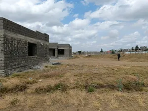 Rosangen Properties