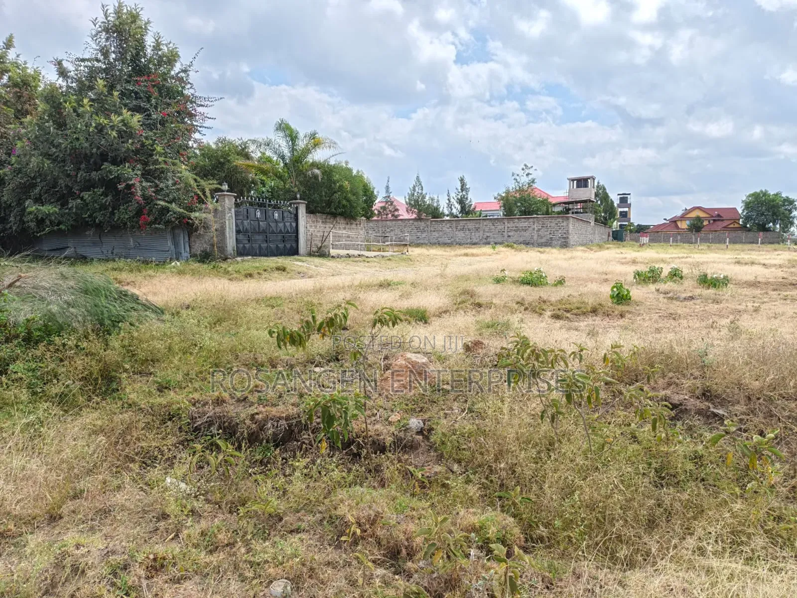 Rosangen Properties
