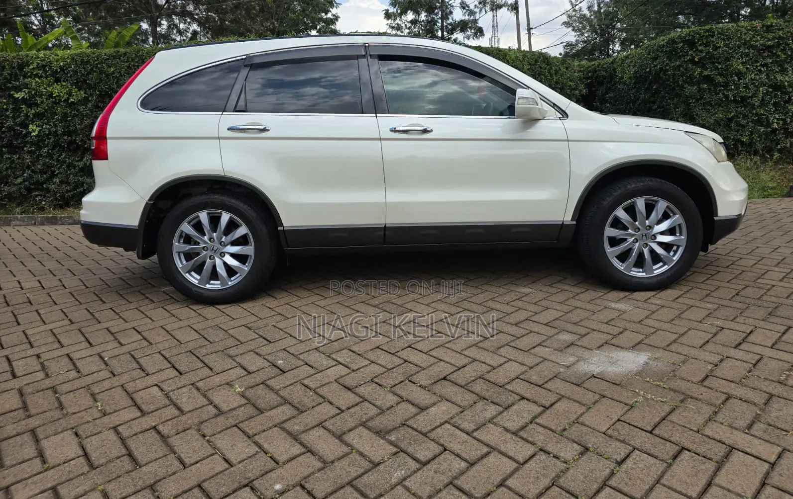 Honda CR-V 2010 White