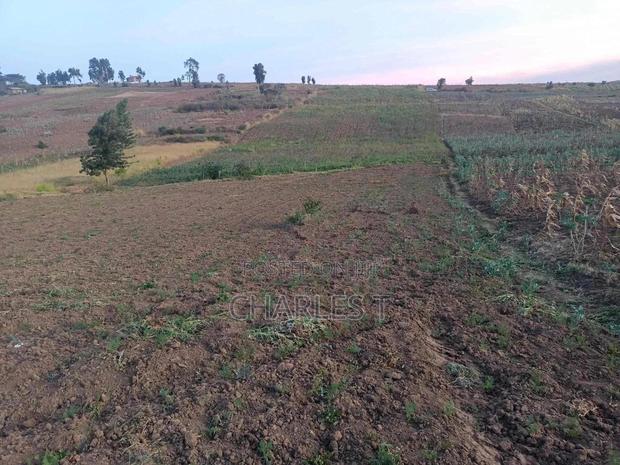 Agricultural Land and Multi Use for Sale