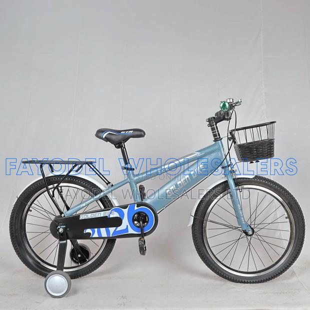 Golden Bike Size 20 With Basket Training Wheels