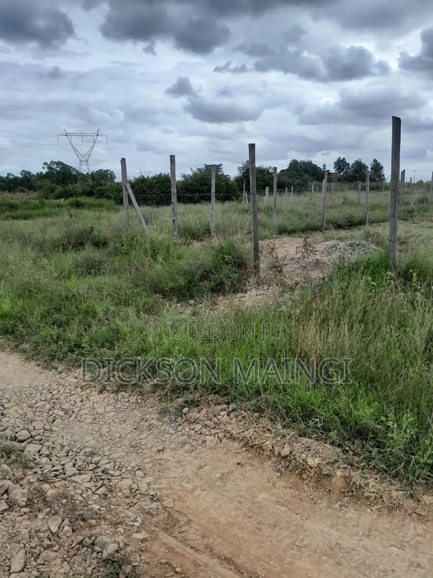 Plot for Sale
