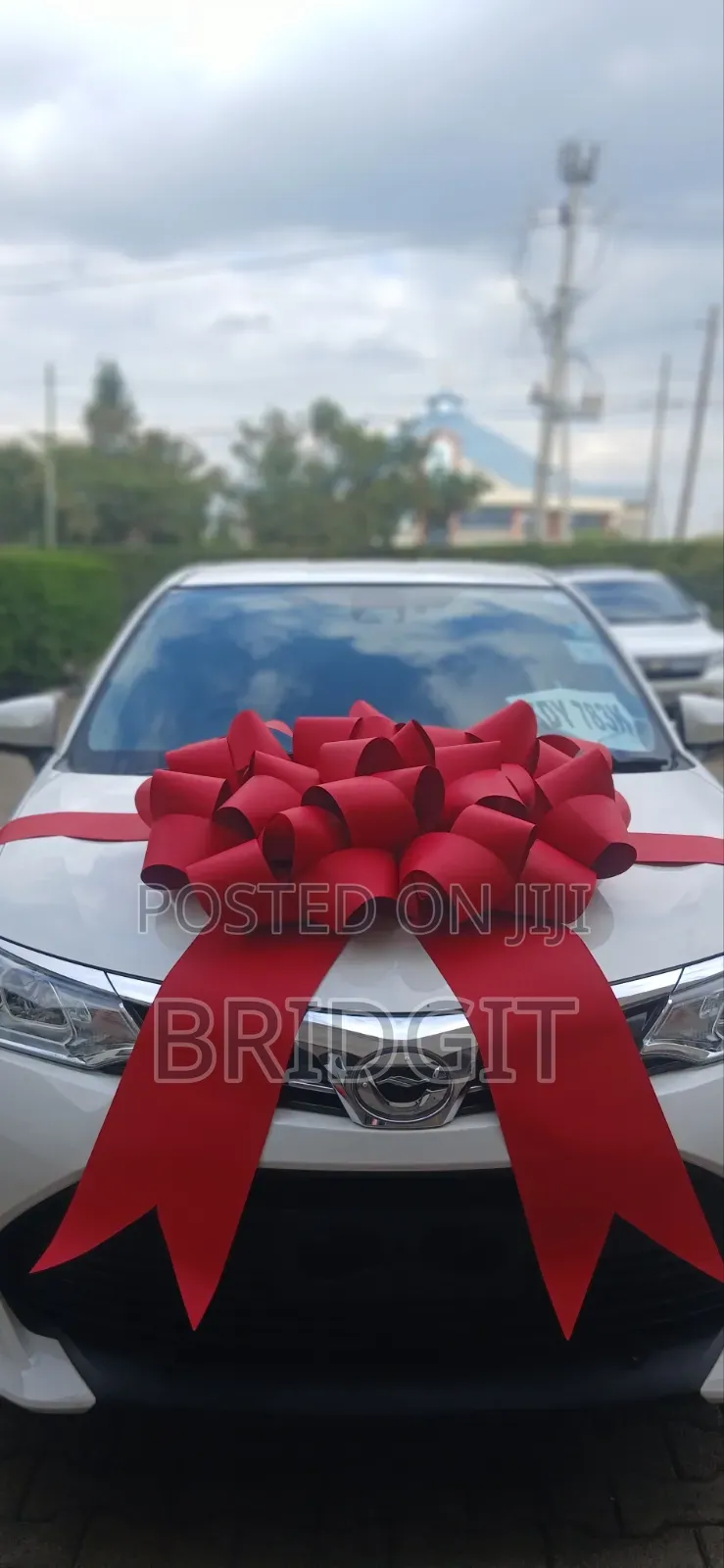 Car Ribbon