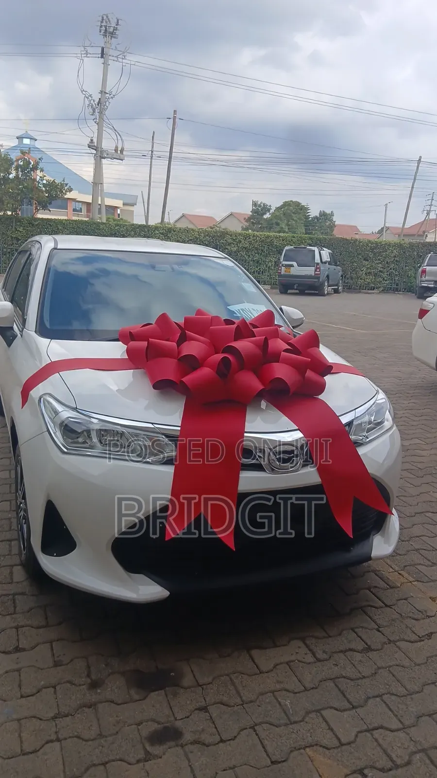 Car Ribbon