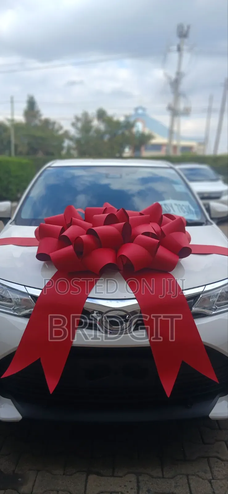 Car Ribbon