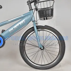 Golden Bike 20 Inch City Bike With Basket
