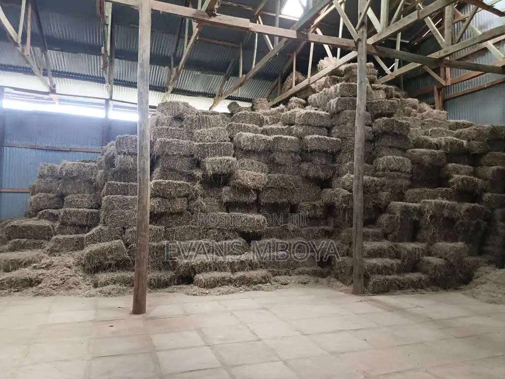 Quality Hay Bhoma Rhodes
