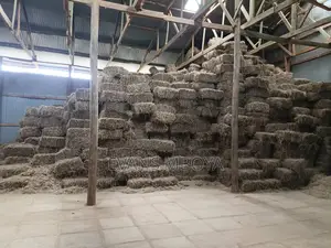 Quality Hay Bhoma Rhodes