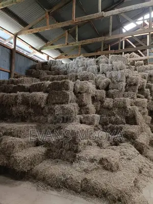 Quality Hay Bhoma Rhodes