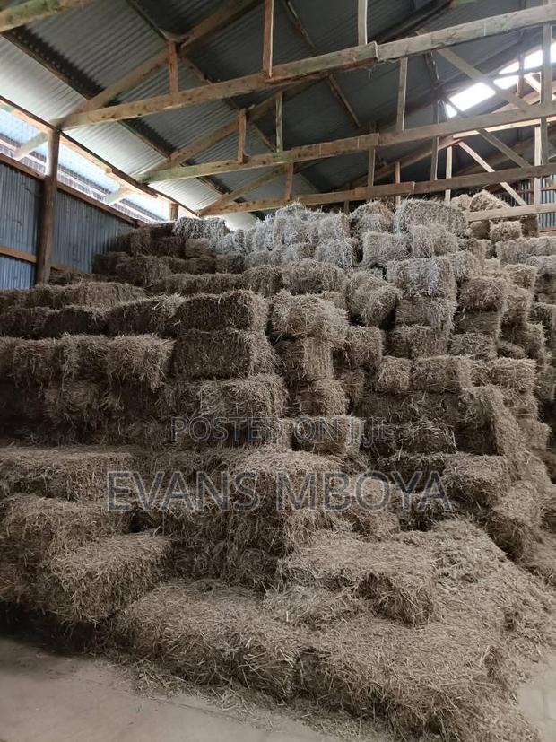 Quality Hay Bhoma Rhodes