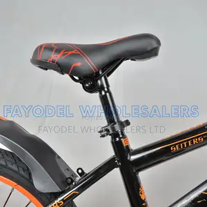 Seiters 20 Inch Bike With Mudguards