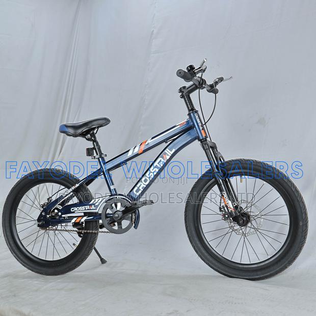 Crosstrail 20 Inch Bicycle for Boys and Girls