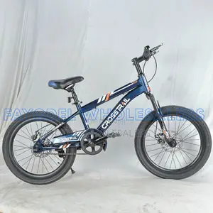 Crosstrail Off-Road Bike for Young Riders