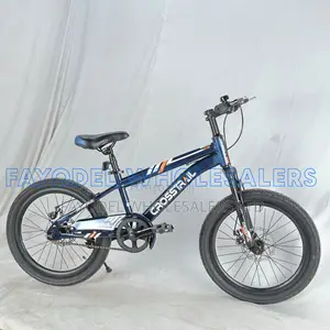 Crosstrail Disc Brake Bike for Kids