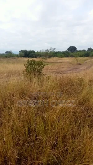 3 Acre Land for Sale in Maragua Ridge