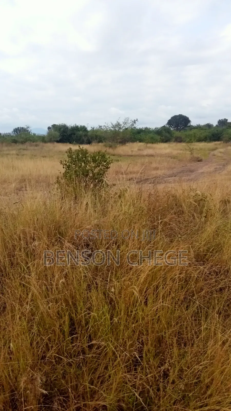 3 Acre Land for Sale in Maragua Ridge