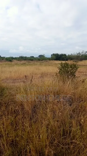 3 Acre Land for Sale in Maragua Ridge