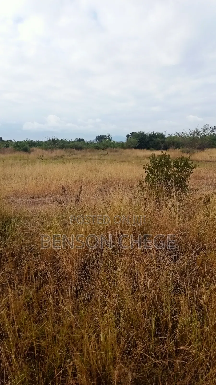 3 Acre Land for Sale in Maragua Ridge
