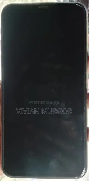 Apple iPhone 11 Pro Max 256 GB