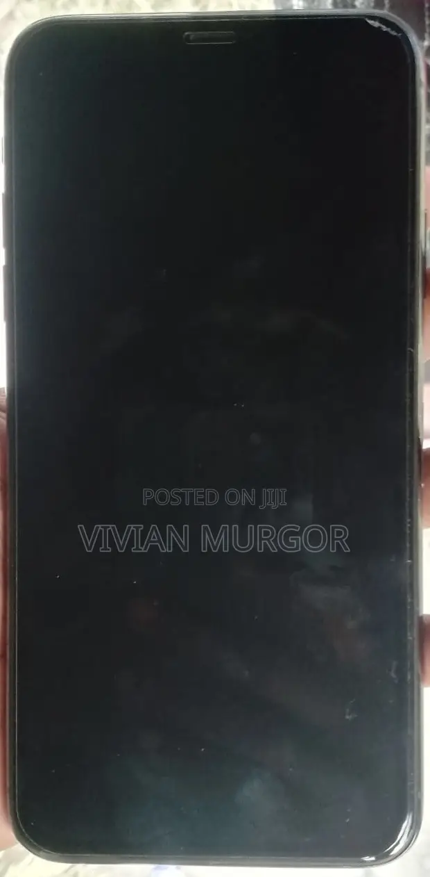 Apple iPhone 11 Pro Max 256 GB
