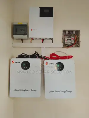 Srne Lithium Battery 2.56kwh 24v