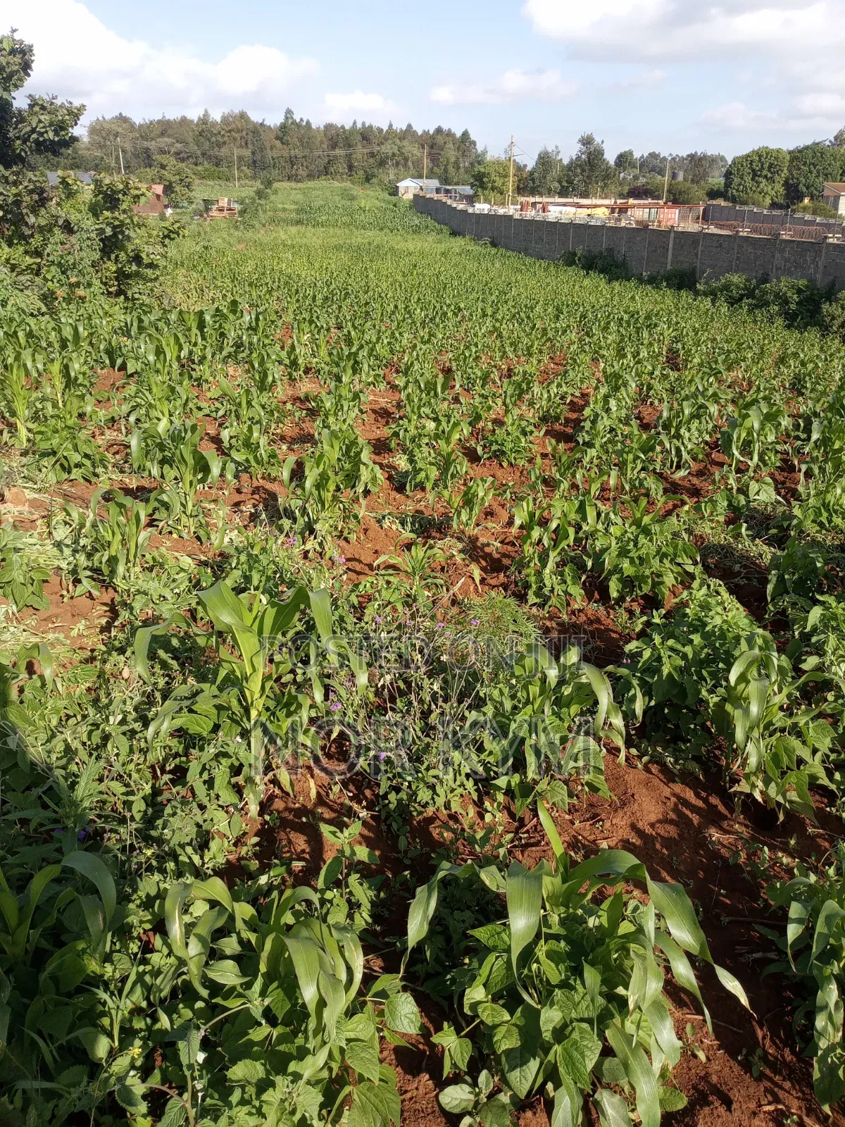 Second Row 1acre Land On Sale In Boroti
