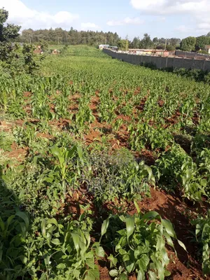 Second Row 1acre Land On Sale In Boroti