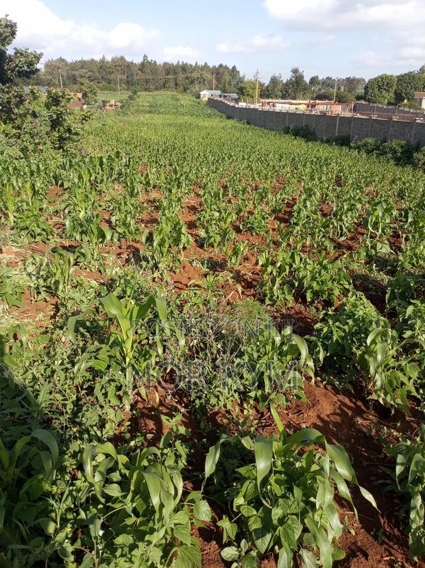 Second Row 1acre Land On Sale In Boroti - thumbnail 2
