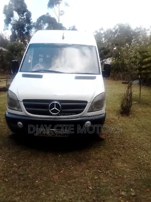 Mercedes-Benz Sprinter 2009 White