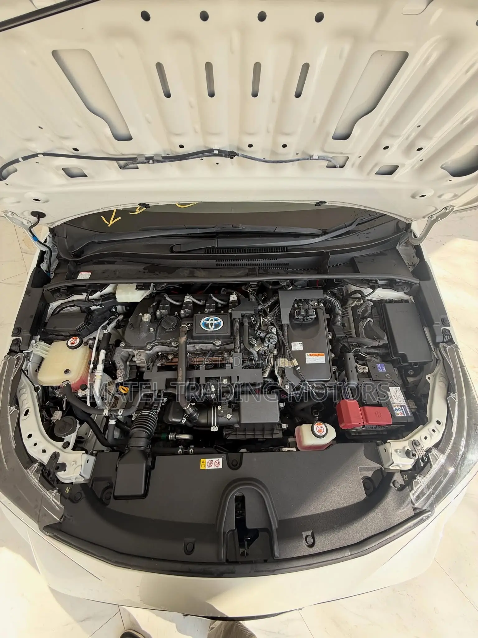 Toyota Corolla SE (1.8L 4cyl 6M) 2019 White