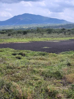 49 Acres Ngong-Kisamis, Off Magadi Road